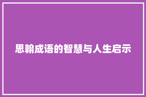 思翰成语的智慧与人生启示