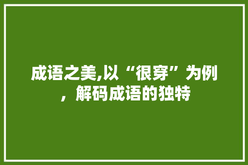 成语之美,以“很穿”为例，解码成语的独特