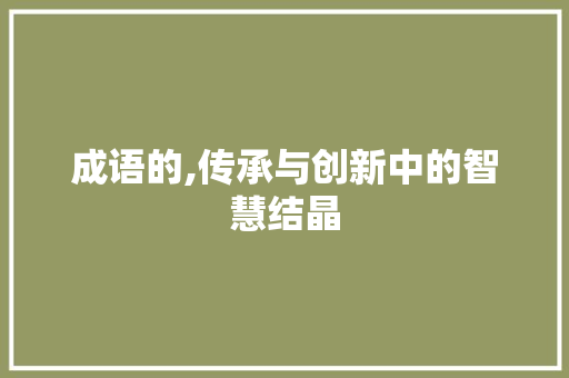 成语的,传承与创新中的智慧结晶