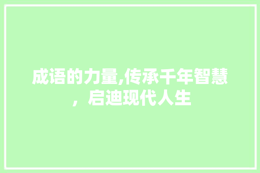 成语的力量,传承千年智慧，启迪现代人生 职场写作