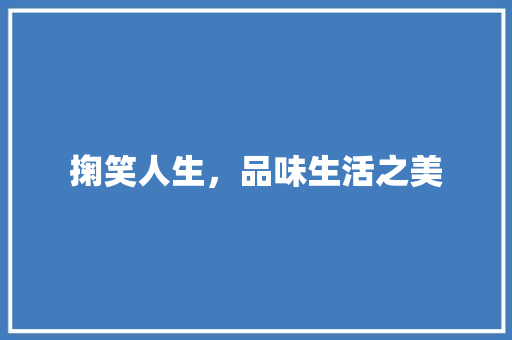 掬笑人生，品味生活之美