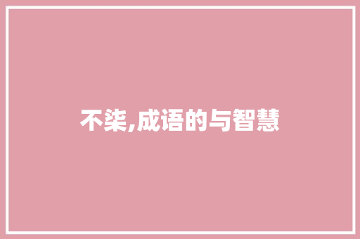 不柒,成语的与智慧