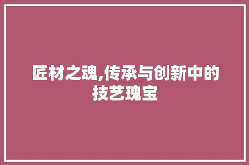 匠材之魂,传承与创新中的技艺瑰宝 应用文