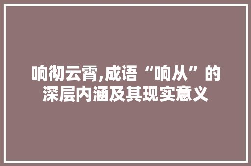 响彻云霄,成语“响从”的深层内涵及其现实意义