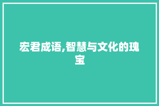 宏君成语,智慧与文化的瑰宝