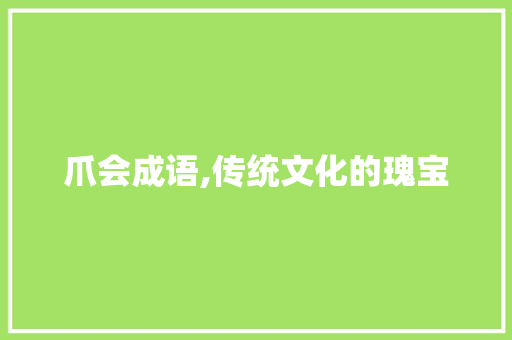 爪会成语,传统文化的瑰宝