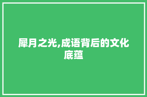 犀月之光,成语背后的文化底蕴