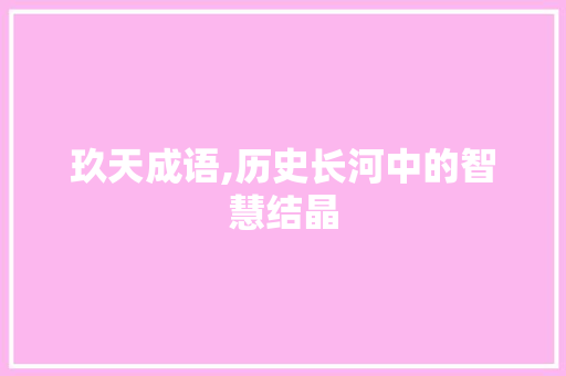 玖天成语,历史长河中的智慧结晶