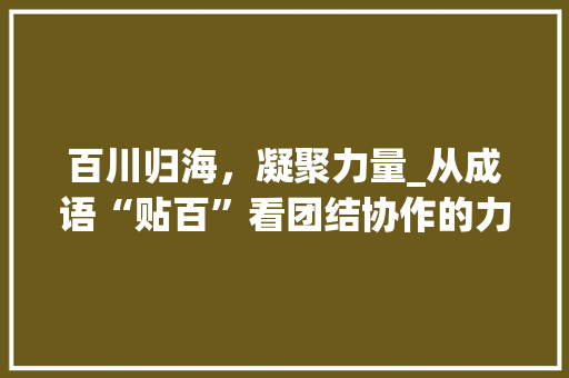 百川归海，凝聚力量_从成语“贴百”看团结协作的力量