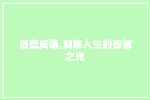 目营成语,洞察人生的智慧之光