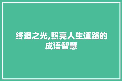 终追之光,照亮人生道路的成语智慧
