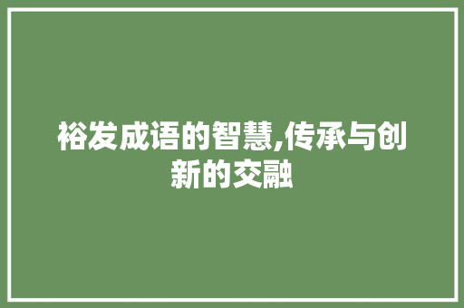 裕发成语的智慧,传承与创新的交融 会议纪要