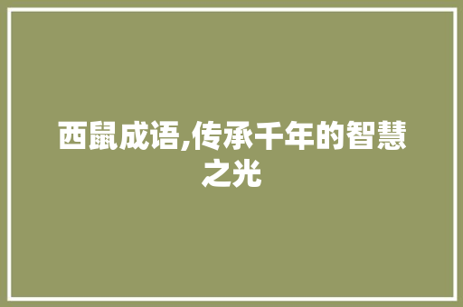 西鼠成语,传承千年的智慧之光