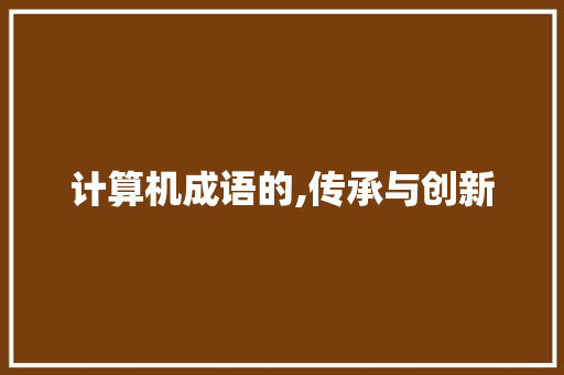 计算机成语的,传承与创新
