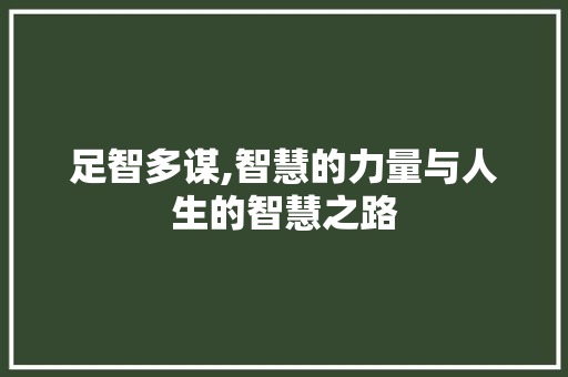 足智多谋,智慧的力量与人生的智慧之路