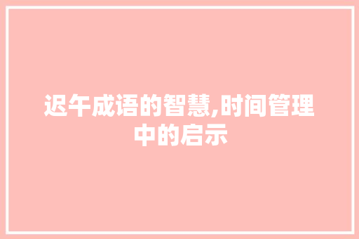迟午成语的智慧,时间管理中的启示