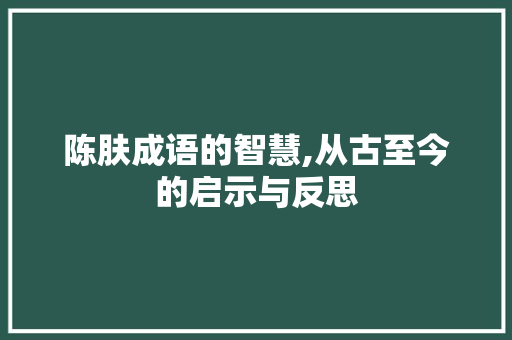 陈肤成语的智慧,从古至今的启示与反思