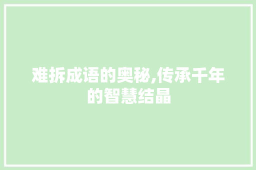 难拆成语的奥秘,传承千年的智慧结晶