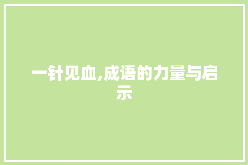 一针见血,成语的力量与启示