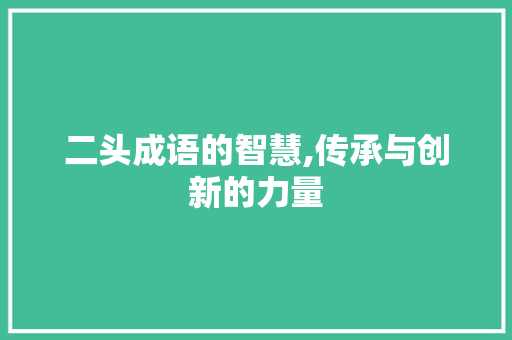 二头成语的智慧,传承与创新的力量