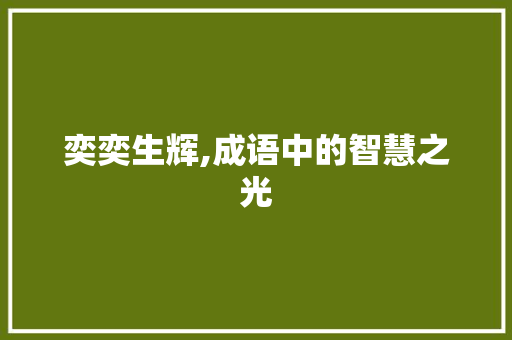 奕奕生辉,成语中的智慧之光