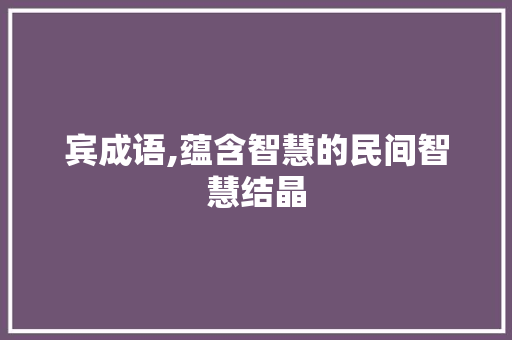 宾成语,蕴含智慧的民间智慧结晶