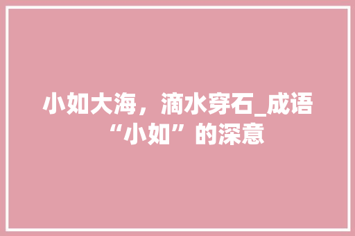 小如大海，滴水穿石_成语“小如”的深意