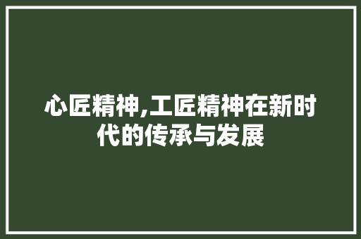 心匠精神,工匠精神在新时代的传承与发展