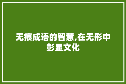 无痕成语的智慧,在无形中彰显文化 项目报告