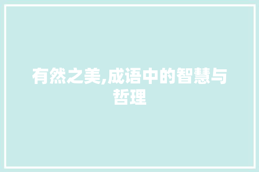 有然之美,成语中的智慧与哲理