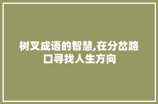 树叉成语的智慧,在分岔路口寻找人生方向