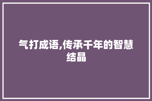 气打成语,传承千年的智慧结晶