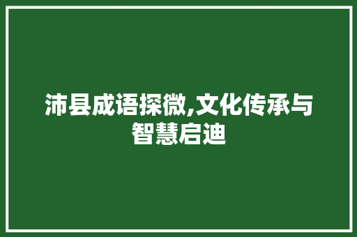 沛县成语探微,文化传承与智慧启迪