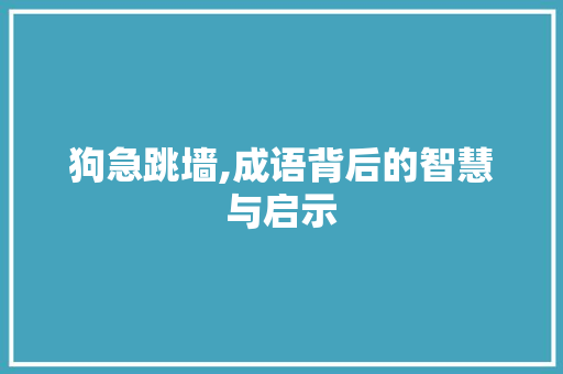 狗急跳墙,成语背后的智慧与启示