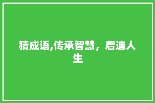 猜成语,传承智慧，启迪人生