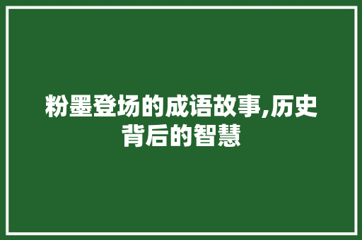 粉墨登场的成语故事,历史背后的智慧 会议纪要