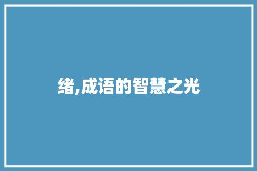 绪,成语的智慧之光 工作总结