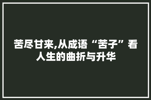 苦尽甘来,从成语“苦子”看人生的曲折与升华