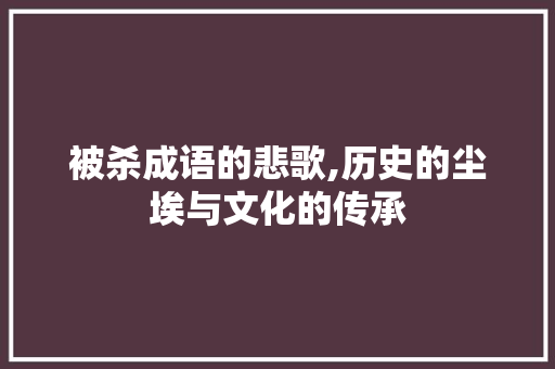 被杀成语的悲歌,历史的尘埃与文化的传承