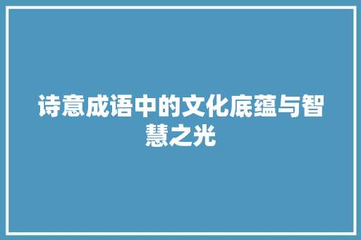 诗意成语中的文化底蕴与智慧之光