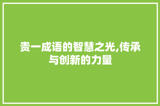 贵一成语的智慧之光,传承与创新的力量