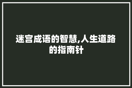 迷宫成语的智慧,人生道路的指南针 诗词鉴赏