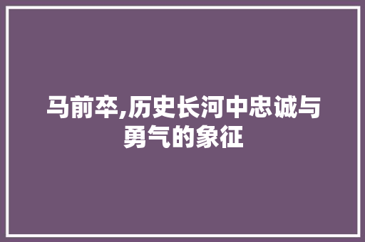 马前卒,历史长河中忠诚与勇气的象征