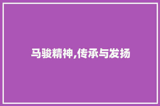 马骏精神,传承与发扬
