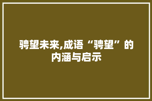 骋望未来,成语“骋望”的内涵与启示
