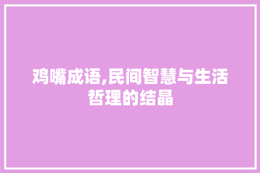 鸡嘴成语,民间智慧与生活哲理的结晶