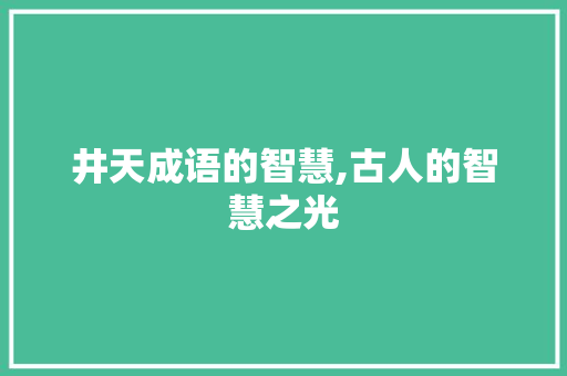 井天成语的智慧,古人的智慧之光