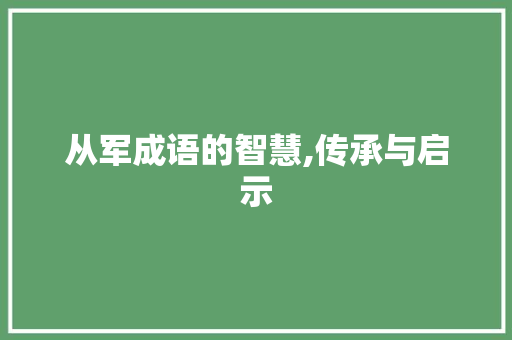 从军成语的智慧,传承与启示