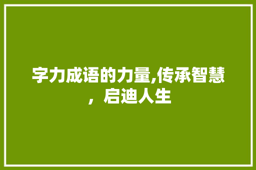 字力成语的力量,传承智慧，启迪人生