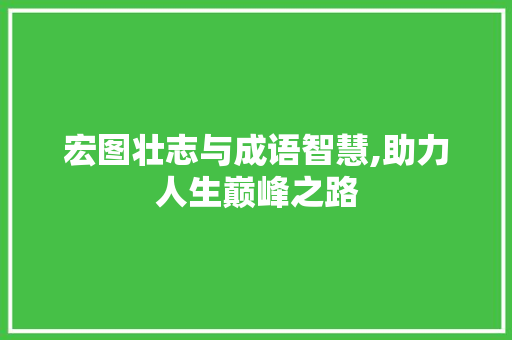 宏图壮志与成语智慧,助力人生巅峰之路